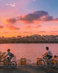 百家乐现在有什么平台可以玩-百家乐游戏平台选择指南，探索安全、便捷的娱乐新体验